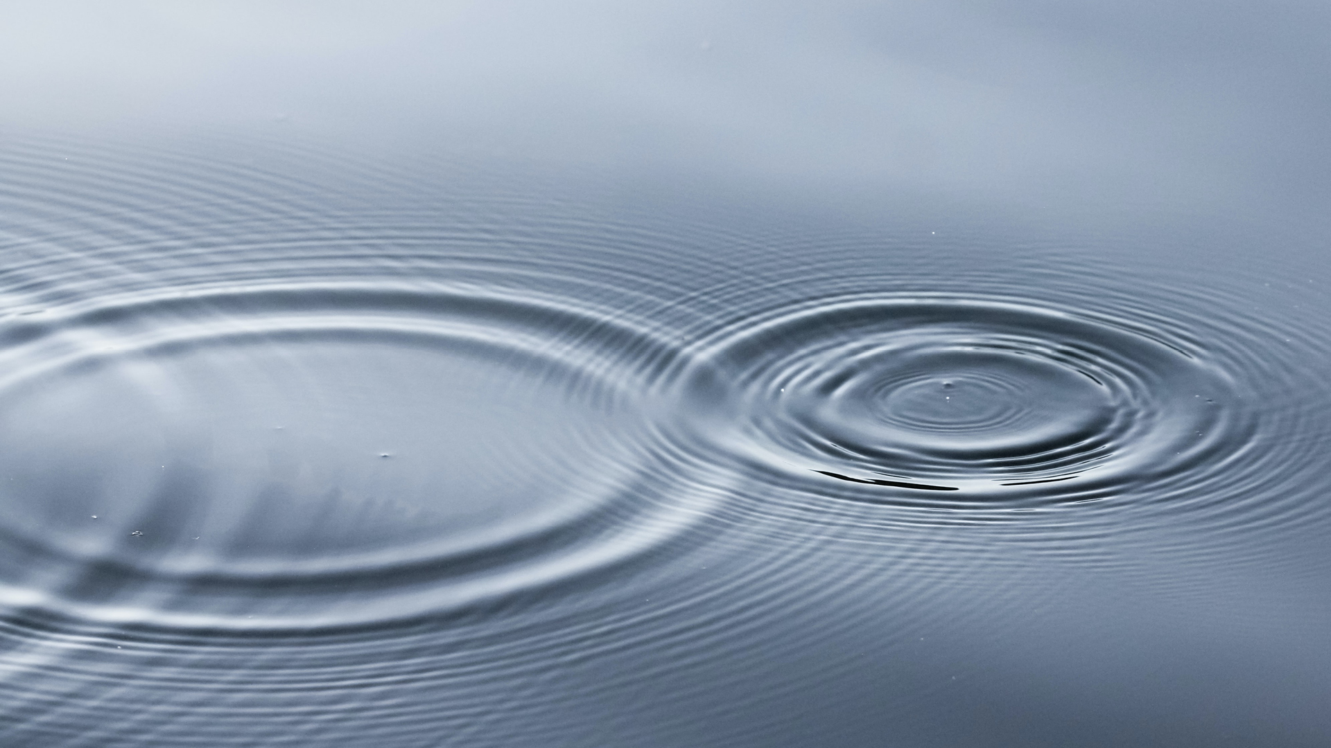 Zwei ringförmige Wellen auf der Wasseroberfläche.